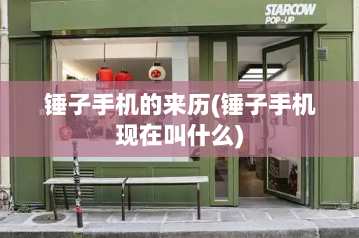 锤子手机的来历(锤子手机现在叫什么)