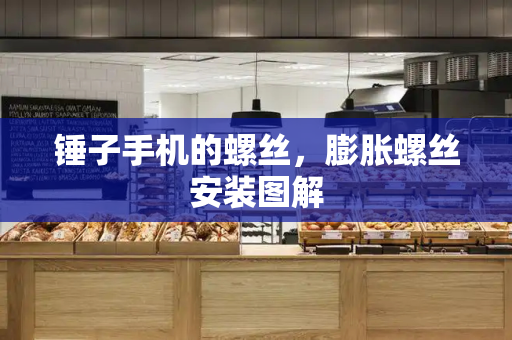 锤子手机的螺丝，膨胀螺丝安装图解-第1张图片-星选测评