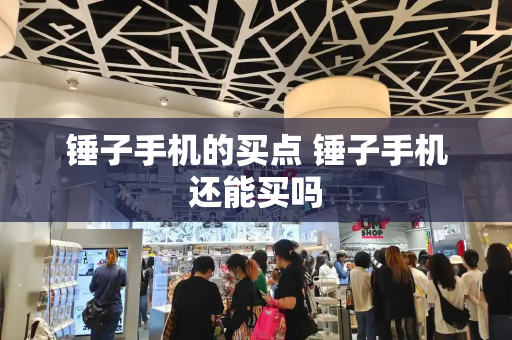 锤子手机的买点 锤子手机还能买吗