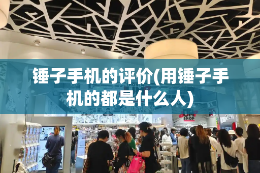 锤子手机的评价(用锤子手机的都是什么人)