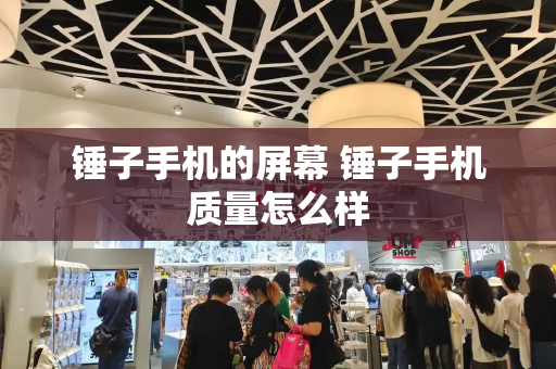 锤子手机的屏幕 锤子手机质量怎么样-第1张图片-星选测评