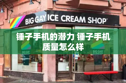 锤子手机的潜力 锤子手机质量怎么样-第1张图片-星选测评