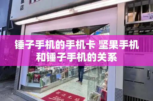 锤子手机的手机卡 坚果手机和锤子手机的关系
