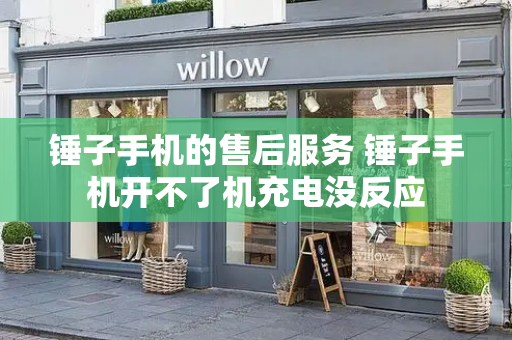 锤子手机的售后服务 锤子手机开不了机充电没反应-第1张图片-星选测评