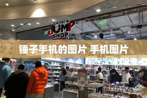 锤子手机的图片 手机图片