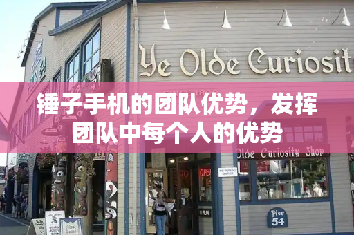 锤子手机的团队优势，发挥团队中每个人的优势