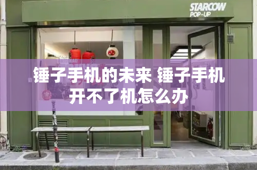 锤子手机的未来 锤子手机开不了机怎么办