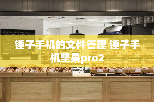 锤子手机的文件管理 锤子手机坚果pro2-第1张图片-星选测评
