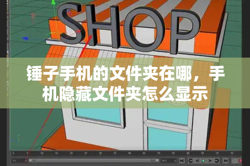 锤子手机的文件夹在哪，手机隐藏文件夹怎么显示