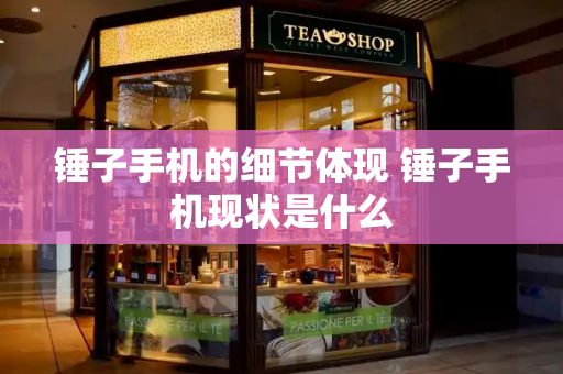 锤子手机的细节体现 锤子手机现状是什么