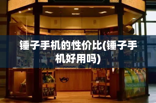 锤子手机的性价比(锤子手机好用吗)-第1张图片-星选测评