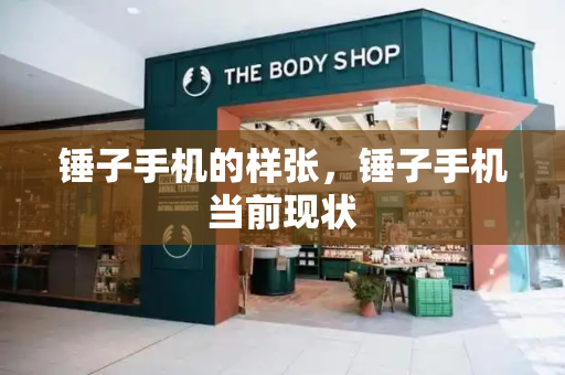 锤子手机的样张，锤子手机当前现状