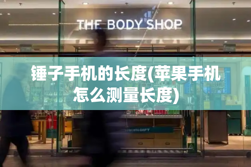 锤子手机的长度(苹果手机怎么测量长度)-第1张图片-星选测评