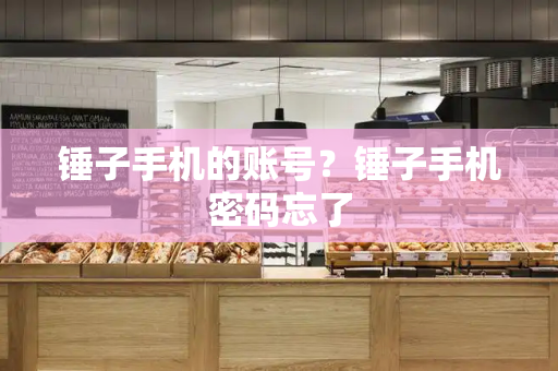 锤子手机的账号？锤子手机密码忘了