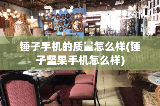 锤子手机的质量怎么样(锤子坚果手机怎么样)-第1张图片-星选测评