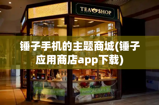 锤子手机的主题商城(锤子应用商店app下载)