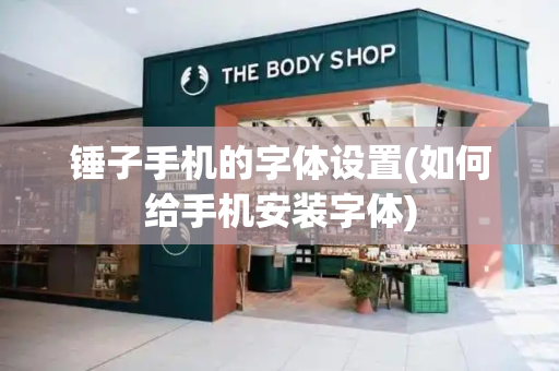 锤子手机的字体设置(如何给手机安装字体)