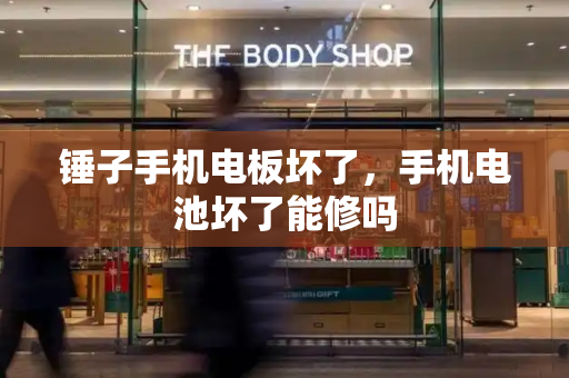 锤子手机电板坏了，手机电池坏了能修吗-第1张图片-星选测评