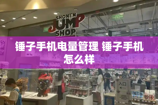 锤子手机电量管理 锤子手机怎么样-第1张图片-星选测评