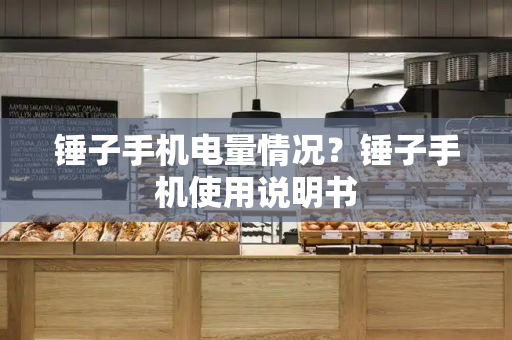 锤子手机电量情况？锤子手机使用说明书