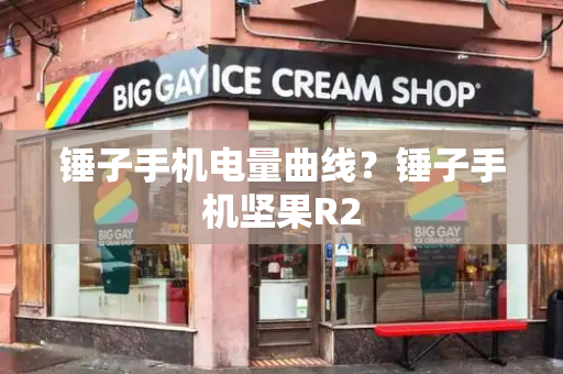锤子手机电量曲线？锤子手机坚果R2