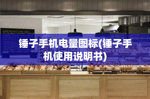 锤子手机电量图标(锤子手机使用说明书)