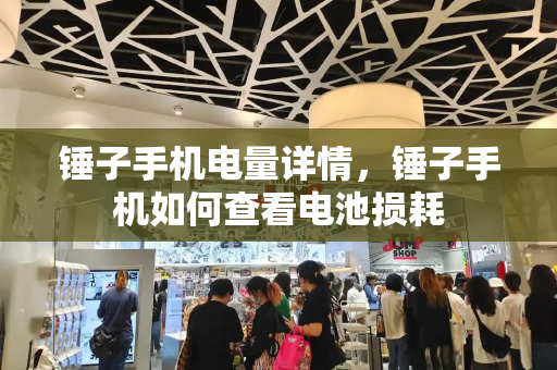 锤子手机电量详情，锤子手机如何查看电池损耗
