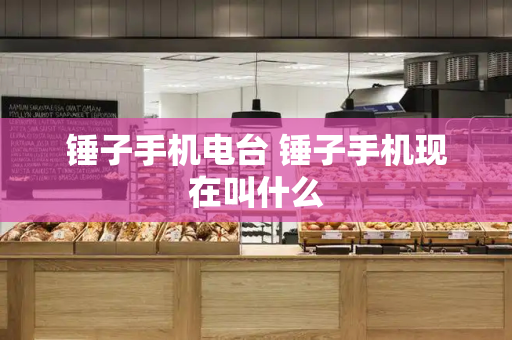 锤子手机电台 锤子手机现在叫什么