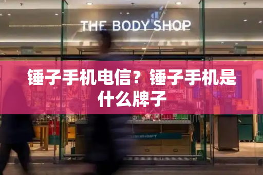 锤子手机电信？锤子手机是什么牌子-第1张图片-星选测评