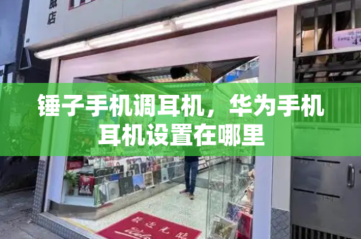 锤子手机调耳机，华为手机耳机设置在哪里-第1张图片-星选测评
