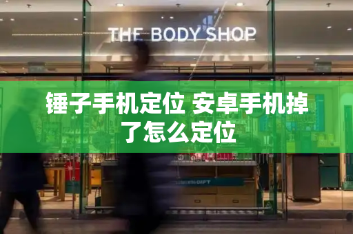 锤子手机定位 安卓手机掉了怎么定位-第1张图片-星选测评