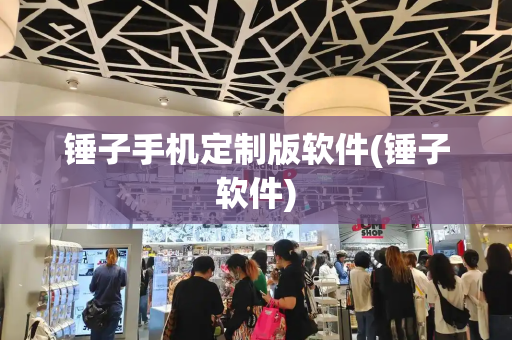 锤子手机定制版软件(锤子软件)-第1张图片-星选测评