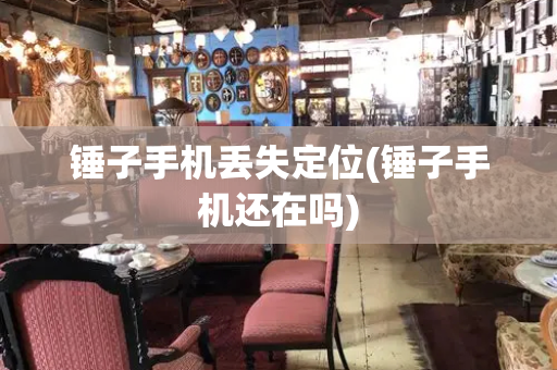 锤子手机丢失定位(锤子手机还在吗)-第1张图片-星选测评
