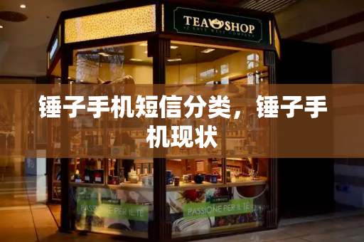 锤子手机短信分类，锤子手机现状