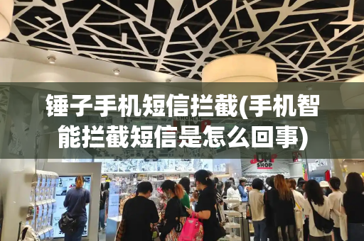 锤子手机短信拦截(手机智能拦截短信是怎么回事)