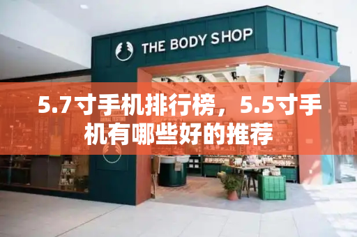5.7寸手机排行榜，5.5寸手机有哪些好的推荐-第1张图片-星选测评
