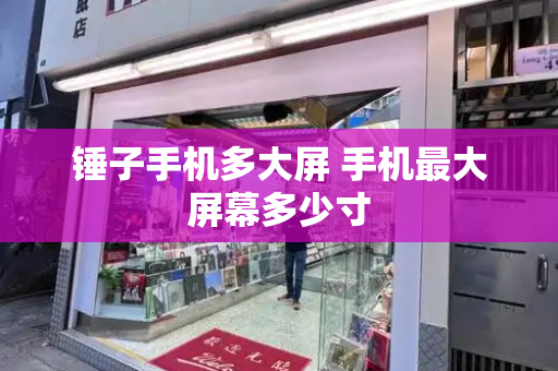 锤子手机多大屏 手机最大屏幕多少寸-第1张图片-星选测评