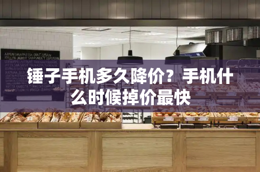 锤子手机多久降价？手机什么时候掉价最快