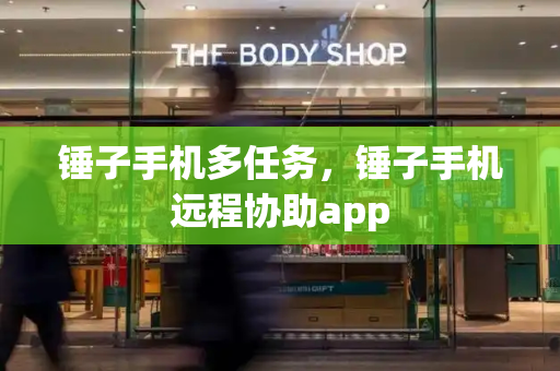 锤子手机多任务，锤子手机远程协助app