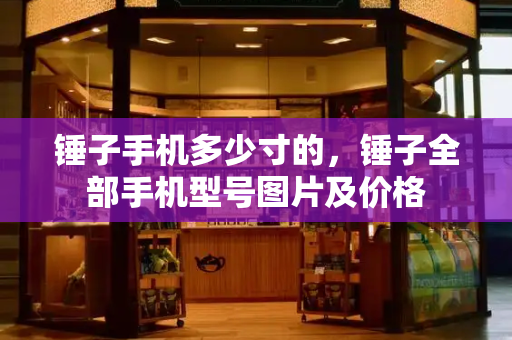 锤子手机多少寸的，锤子全部手机型号图片及价格-第1张图片-星选测评
