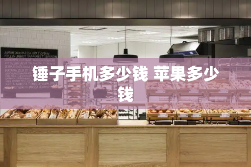 锤子手机多少钱 苹果多少钱