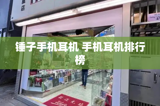 锤子手机耳机 手机耳机排行榜-第1张图片-星选测评