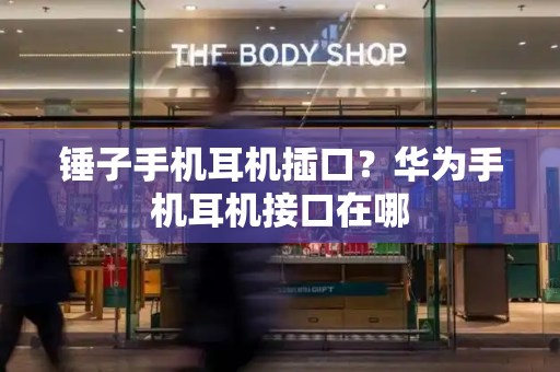 锤子手机耳机插口？华为手机耳机接口在哪-第1张图片-星选测评