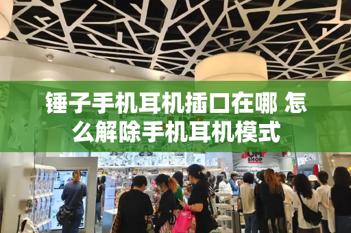 锤子手机耳机插口在哪 怎么解除手机耳机模式-第1张图片-星选测评