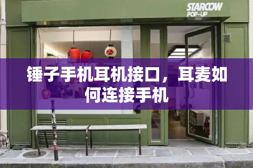 锤子手机耳机接口，耳麦如何连接手机-第1张图片-星选测评