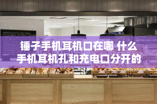 锤子手机耳机口在哪 什么手机耳机孔和充电口分开的