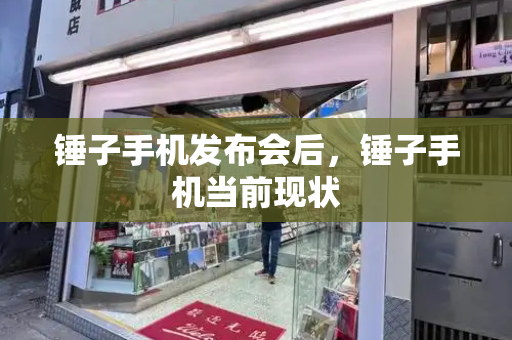 锤子手机发布会后，锤子手机当前现状-第1张图片-星选测评