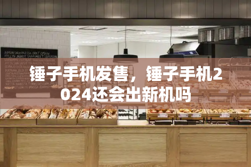 锤子手机发售，锤子手机2024还会出新机吗