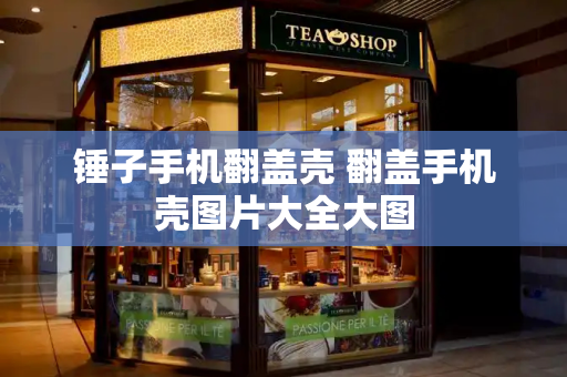 锤子手机翻盖壳 翻盖手机壳图片大全大图-第1张图片-星选测评