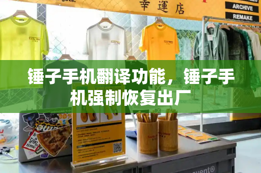 锤子手机翻译功能，锤子手机强制恢复出厂-第1张图片-星选测评